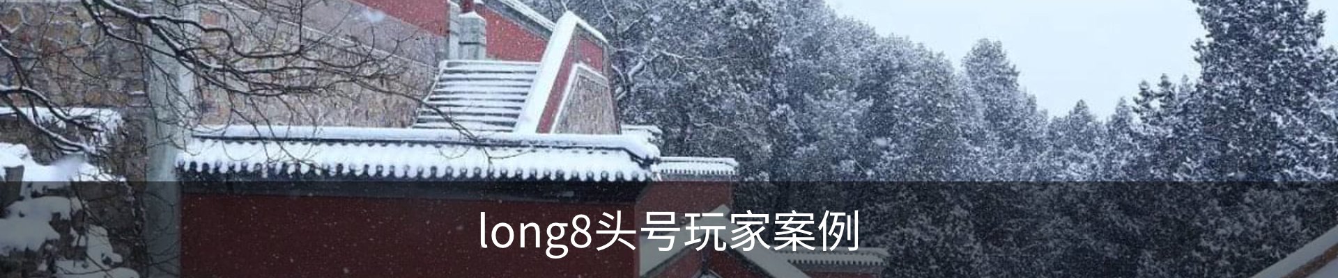 long8头号玩家案例